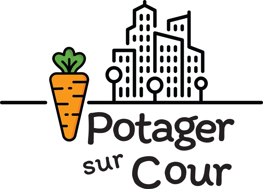 DLA FRANCE logo