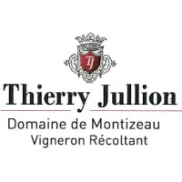 THIERRY JULLION logo