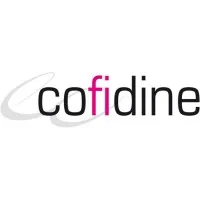 CONSEIL FIDUCIAIRE AUDIT & FINANCE (COFIDINE) logo