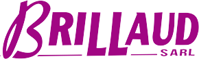 PIERRE BRILLAUD COMBUSTIBLES logo