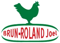 BRUN-ROLAND JOEL logo