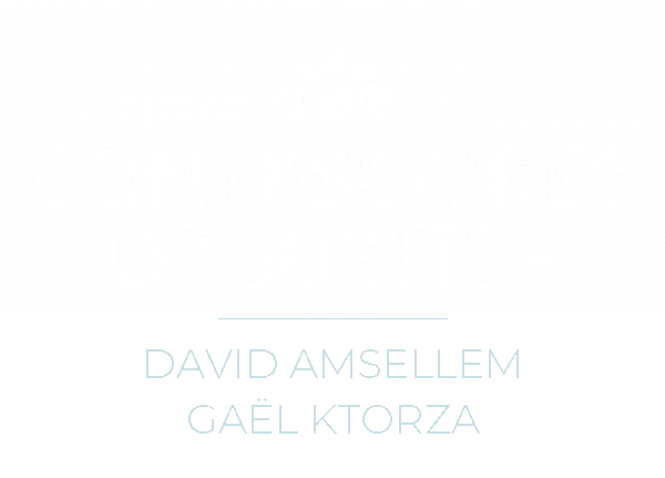 DAVID AMSELLEM - GAEL KTORZA logo