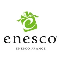 ENESCO FRANCE (GAULT DOMINIQUE GAULT ENESCO J CARLTON) logo