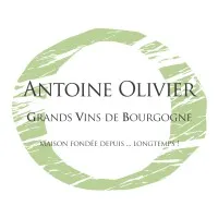 ANTOINE OLIVIER logo