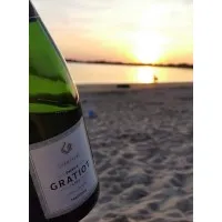 GRATIOT PATRICK logo