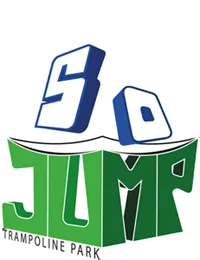 BALTIMORE SARL (PARADOXE) logo