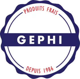 GEPHI logo