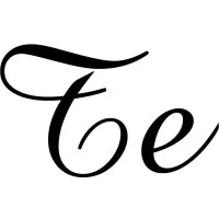 TRANS ENERGIE logo