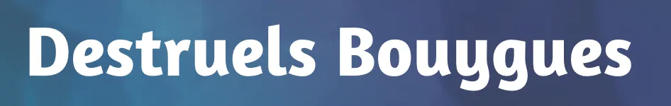 ETS DESTRUELS-BOUYGUES logo