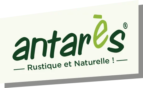 SOCHELEAU logo
