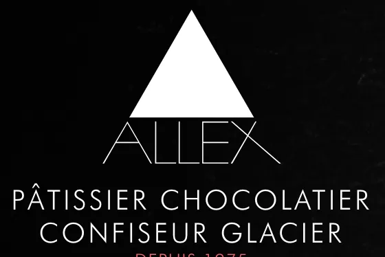 SA ALLEX logo
