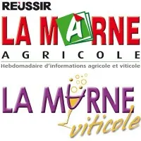 CHAMPAGNE EDITIONS logo