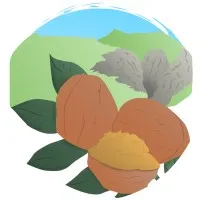 Voici le logo de la marque FERME DES SIGNAUX qui représente son identité graphique.