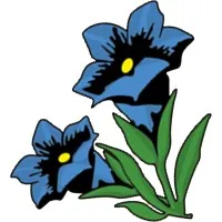LES CHALETS DUTRUEL logo