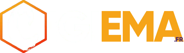 Voici le logo de la marque INFORMATIQUE GESTION INGENIERIE ELECTRON (CIGIEMA) qui représente son identité graphique.