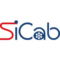 SOCIETE INDUSTRIELLE DE CABLAGE (SICAB) logo