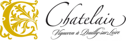 DOMAINE CHATELAIN logo
