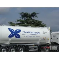 TRANSPORT SALVA logo