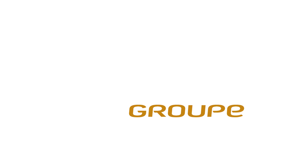 MAINE ENTREPRISE SERVICE OU MES logo
