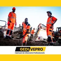 GEDIVEPRO