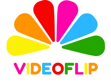 VIDEOFLIP logo