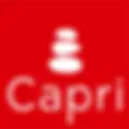 ENTREPRISE DIEZ CARRELAGE logo