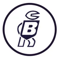 BLOUDEX ELECTRONIC'S logo