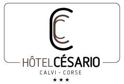 HALLER JEAN logo