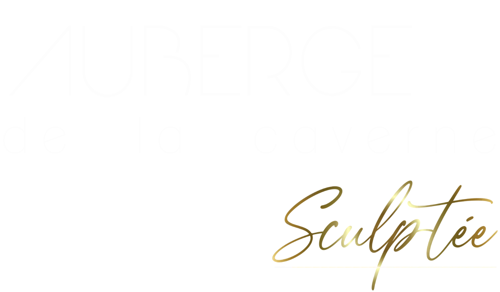 SARL UNIPERSONNELLE DANIEL ONILLON logo