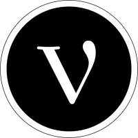 VIBRASON (V.I.B.R.A.S.O.N) logo