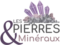 RAOULT THIERRY logo