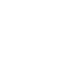 NIVOLLET FRANCOIS logo