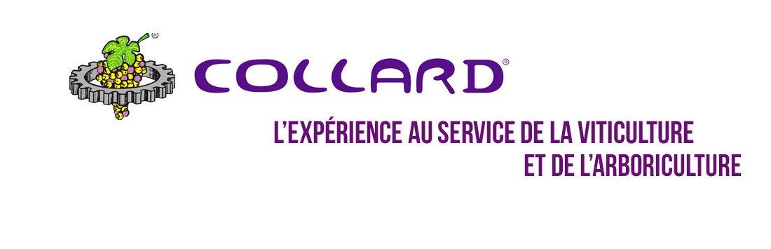 COLLARD logo