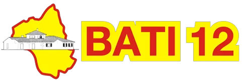 BATI 12 logo