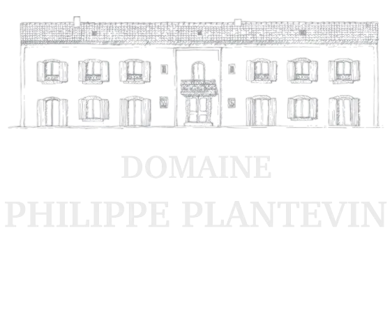 DOMAINE PHILIPPE PLANTEVIN logo