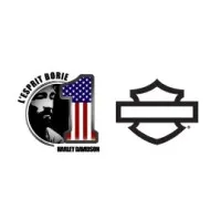 Voici le logo de la marque MICHEL BORIE DISTRIBUTION (Harley-Davidson Borie) qui représente son identité graphique.