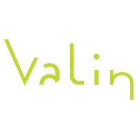 SAS VALIN logo