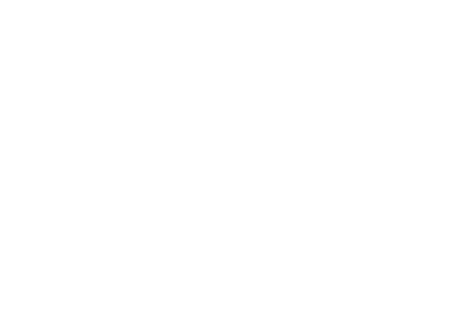 COHEN OLIVIER logo
