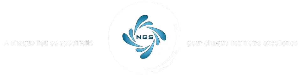 NETTOYAGE GENERAL SERVICES (NGS) logo