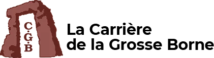 SOC CARRIERES DE LA GROSSE BORNE logo