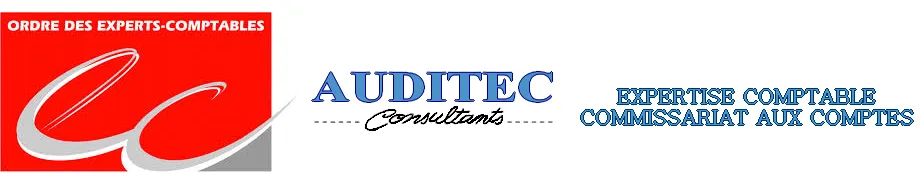 AUDITEC CONSULTANTS logo