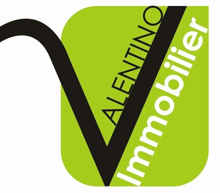 VALENTINO IMMOBILIER logo