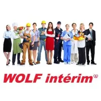 WOLF INTERIM logo