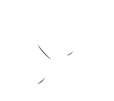 MELLET PATRICK logo