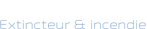 DELAHAYE DOMINIQUE logo