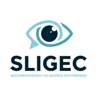 SOCIETE LILLOISE DE GESTION ET D'EXPERTISE COMPTABLE (SLGEC) logo