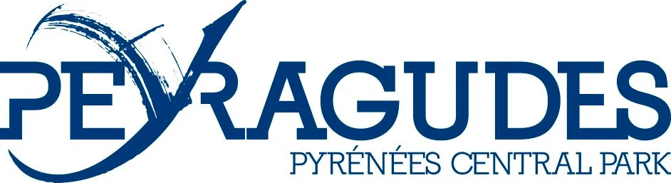 SOCIETE PUBLIQUE LOCALE PEYRAGUDES logo