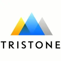 TRISTONE FLOWTECH SOLUTIONS (TFS) logo