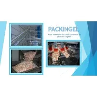 PACKINGEL logo