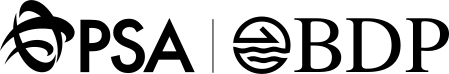 BDP INTERNATIONAL logo